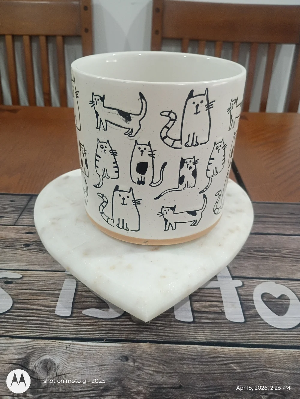 Cat planter All Over Print - Picture 7 of 10